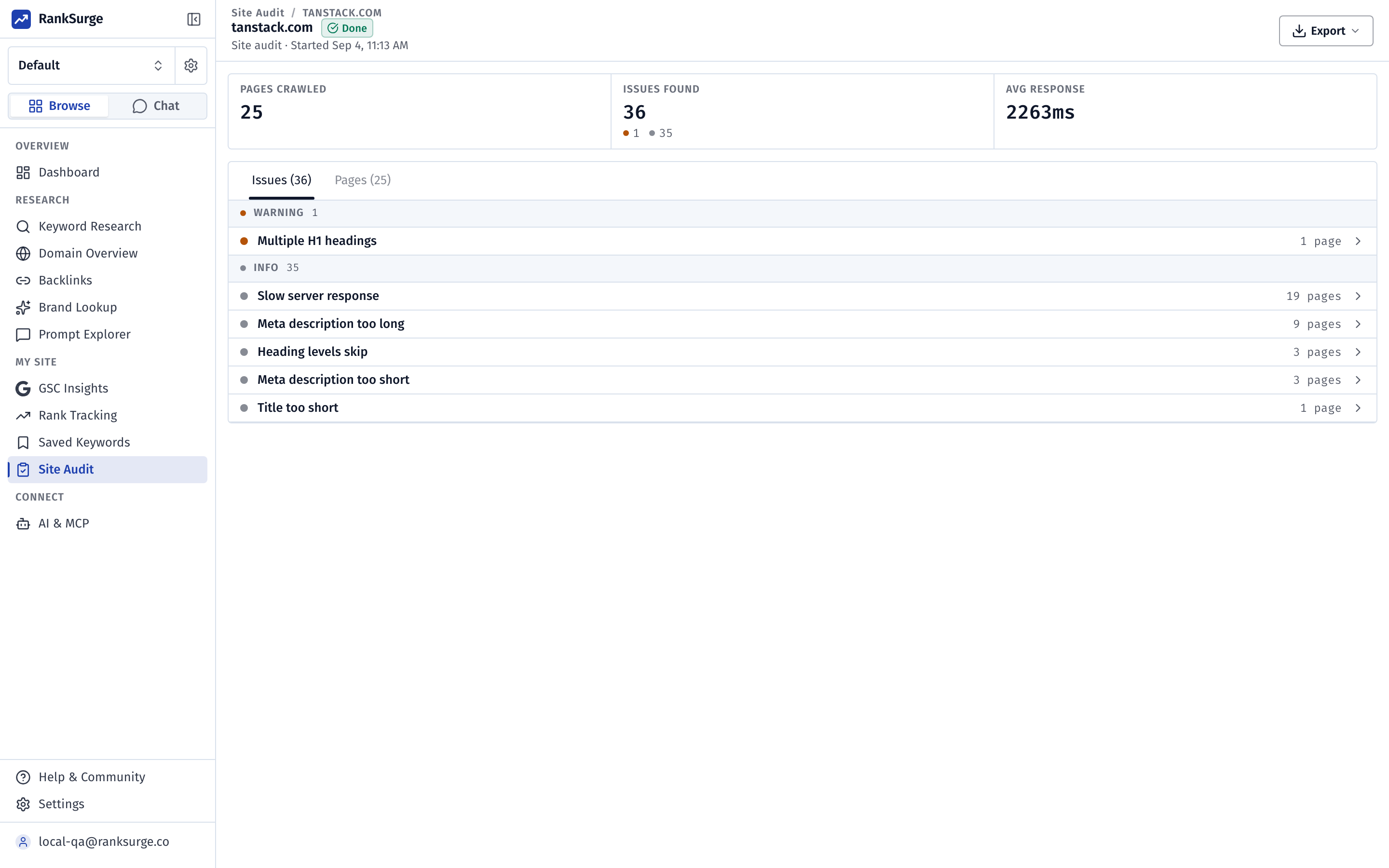 RankSurge site audit report